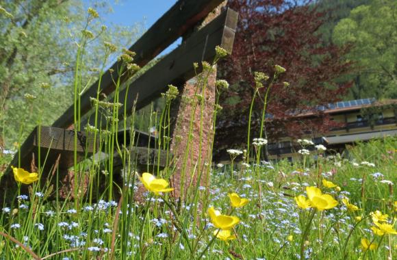 Frühlingserwachen am Weissensee