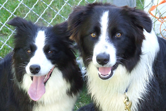 © www.hotel-moser.at