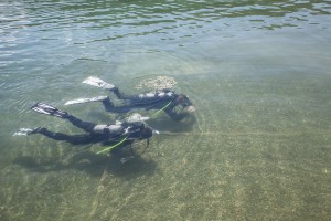 © www.hotel-moser.at