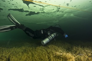 © www.hotel-moser.at © www.hotel-moser.at