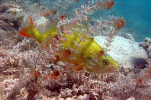 © www.hotel-moser.at © www.hotel-moser.at