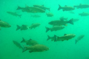 © www.hotel-moser.at © www.hotel-moser.at