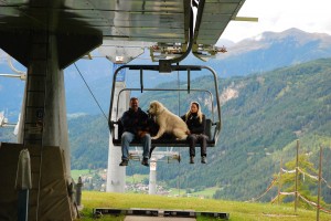 © www.hotel-moser.at © www.hotel-moser.at