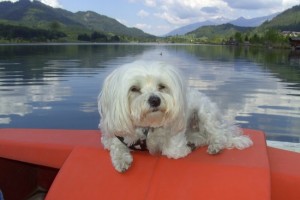 © www.hotel-moser.at © www.hotel-moser.at