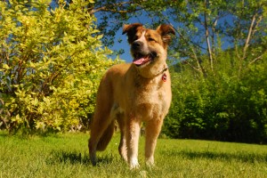 © www.hotel-moser.at © www.hotel-moser.at