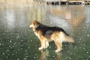 © www.hotel-moser.at