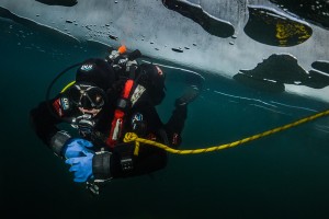 © Vladimir Mladenovic © Vladimir Mladenovic