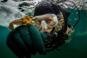 © Vladimir Mladenovic © Vladimir Mladenovic